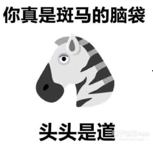 吃瓜粉表情包文案,揭秘网络热梗背后的趣味与智慧