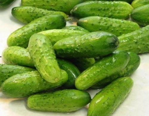 吃不明白的瓜,揭秘那些让人一头雾水的“吃不明白的瓜”