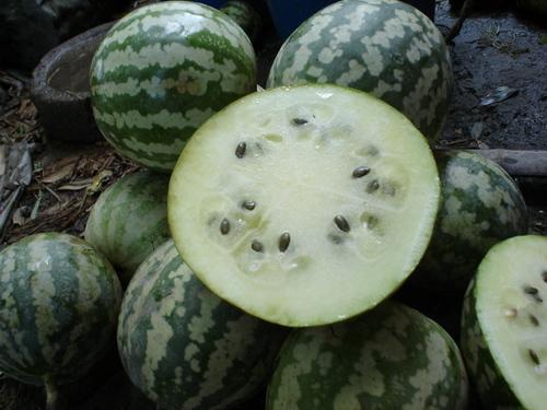 越南贝瓜怎么吃,探索东南亚风味佳肴