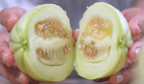 不带皮吃的瓜,探寻美味与健康的完美融合