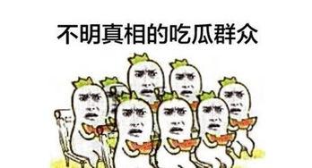 最近吃瓜群众状态,揭秘近期热门事件背后的真相与争议