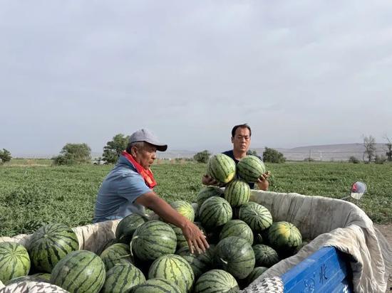 吃瓜老城,一场味蕾与历史的邂逅