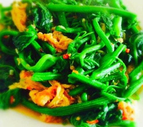 瓜叶炒着怎么吃,探索家常美食新吃法