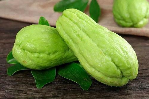 蒲瓜菜怎么吃最好