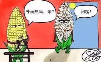 吃瓜墙活动,一场全民参与的趣味狂欢盛宴