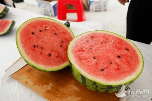 全国吃瓜排行,谁才是瓜界“吃瓜群众”之王？