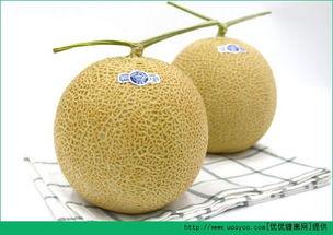 小孩吃哈密瓜图案,哈密瓜乐园里的快乐时光