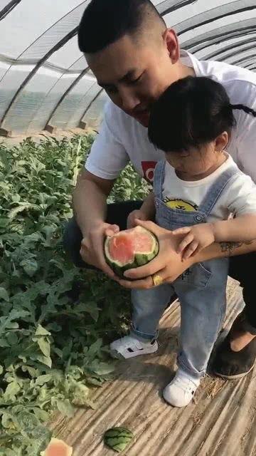 吃小宝的瓜,揭秘娱乐圈的甜蜜与苦涩