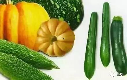 呱呱会吃瓜,探寻瓜果的甜蜜诱惑