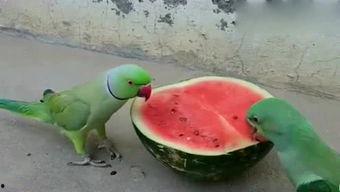 艺艺艺吃瓜,揭秘娱乐圈那些不为人知的幕后故事