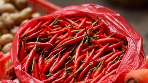 梦见山里吃辣椒瓜,山野辣椒瓜的神秘启示