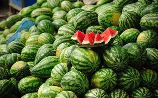 吃树瓜会发胖吗,吃树瓜真的会让人发胖吗？揭秘树瓜热量与体重关系