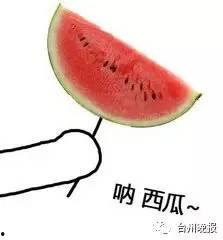 吃瓜会长是谁,网络红人的崛起与影响力