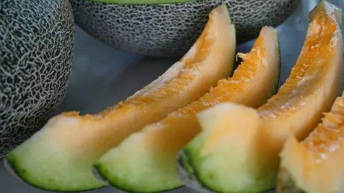 带你吃瓜炒菜翻车,一场美食之旅的意外转折