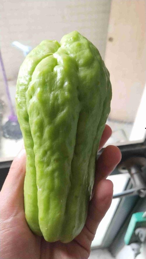 越南贝瓜怎么吃,探索东南亚风味佳肴