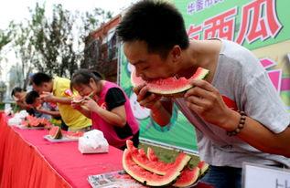 吃瓜大赛2019,全民狂欢，瓜界风云再起