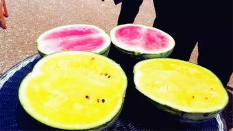 尔晴吃瓜爆料,娱乐圈幕后真相大揭秘