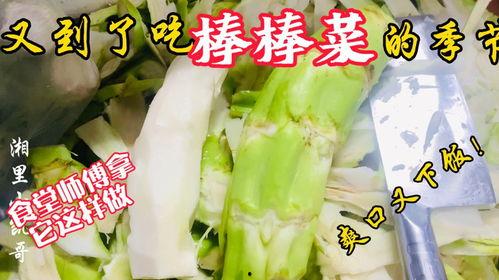 鞍山老师吃瓜,揭秘校园八卦背后的真相