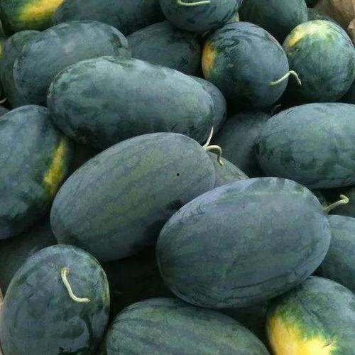 比初恋还甜吃瓜,比初恋还甜的吃瓜盛宴