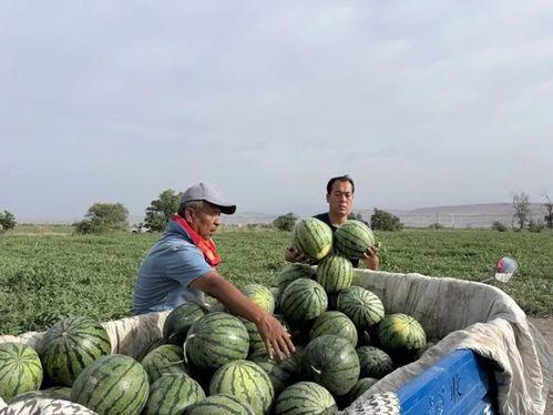 山顶吃瓜赏景,悠然自得话人生