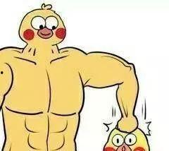 吃瓜群众小黄鸡图片,趣味横生一幕再现